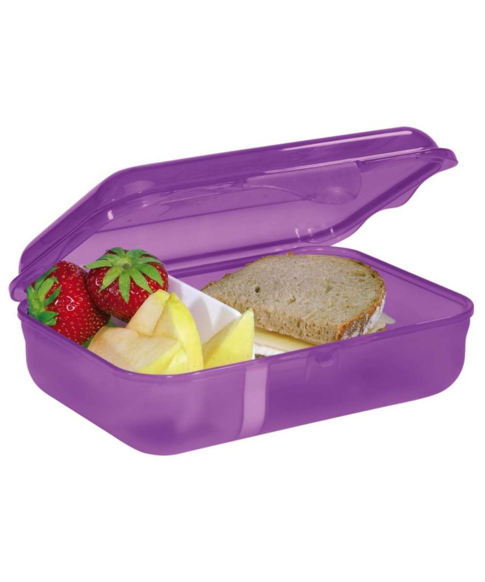 71196852_Step by Step Lunchbox dreamy pegasus shadow