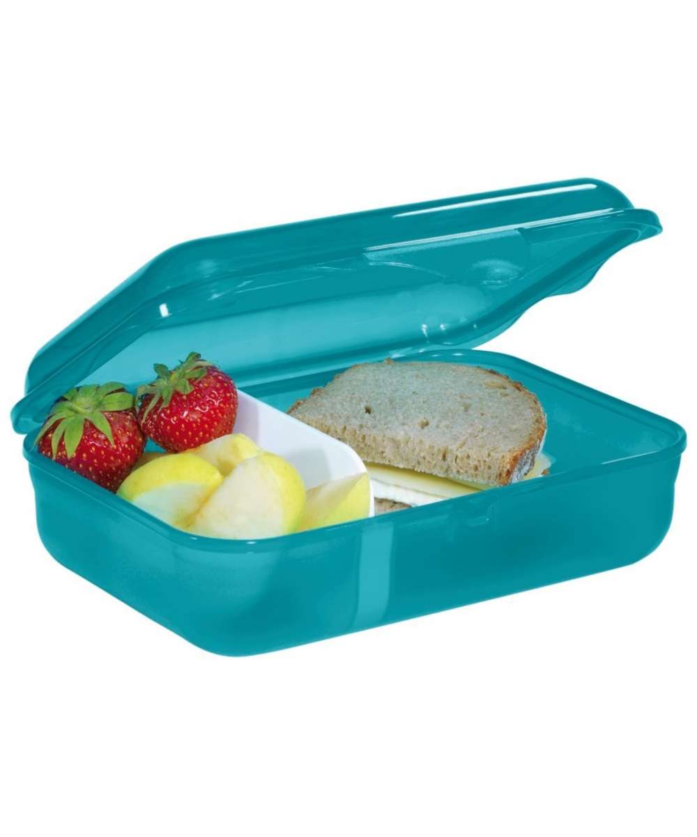 71196853_Step by Step Lunchbox chameleon joshy