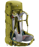 71240653_Deuter Aircontact Core 60+10 cactus-ivy