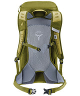 71240667_Deuter AC Lite 16 linden-cactus