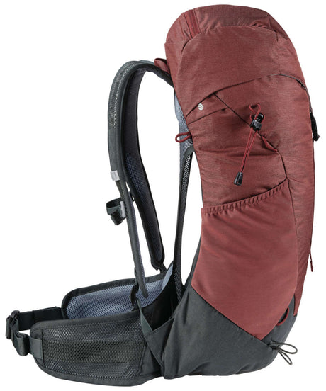 71178165_Deuter AC Lite 24 redwood-ivy