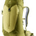 71240678_Deuter AC Lite 24 linden-cactus