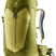 71240687_Deuter AC Lite 30 linden-cactus