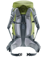 71241616_Deuter Trail Pro 36 meadow-graphite