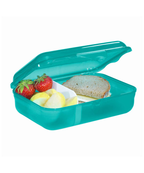 71171639_Step by Step Lunchbox happy turtle