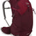 71226668_Lowe Alpine AirZone Trail Duo ND 30 Women deep heather/raspberry