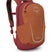 71231145_Osprey Daylite Jr orange dawn/bazan