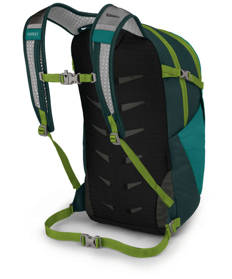 71224504_Osprey Daylite Plus escapade green/baikal green