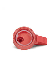 71242460_Satch Edelstahl Trinkflasche isoliert nordic coral