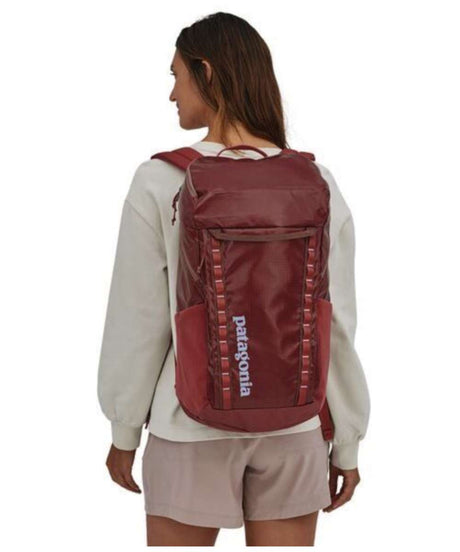 71199043_Patagonia Black Hole Pack 32L rosehip