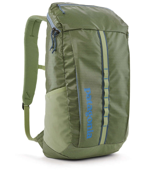 71221433_Patagonia Black Hole Pack 25L friend green