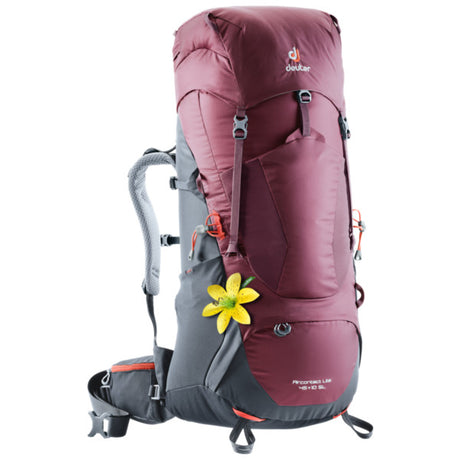 71119612_Deuter Aircontact Lite 45+10 SL maron-graphite