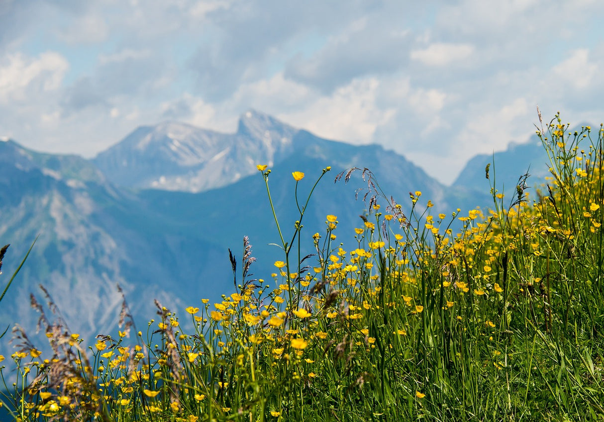 Montafon (Österreich) - 7 Übernachtungen für 2 Personen