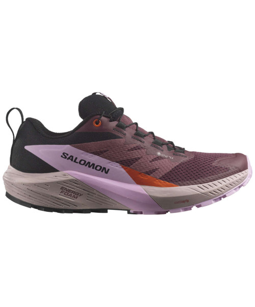 Salomon Sense Ride 5 GTX W